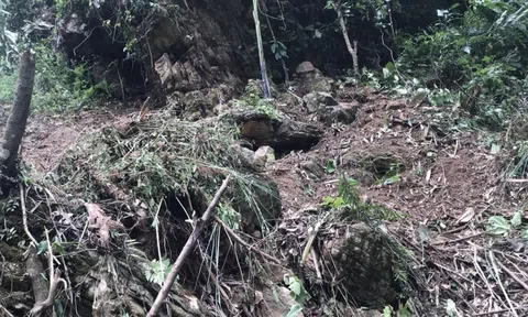 Đá lăn đè chết người phụ nữ đang làm cỏ trên nương