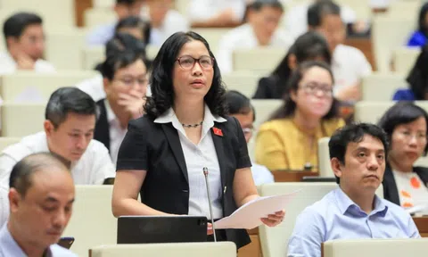 Những câu hỏi day dứt trên diễn đàn Quốc hội
