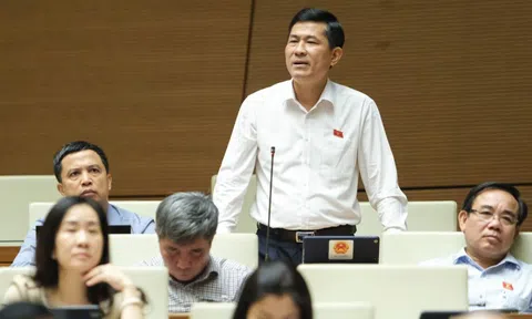 Đại biểu Quốc hội kiến nghị nên cấm bán sách tham khảo trong nhà trường