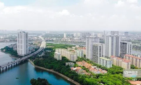 Gia hạn thời hạn nộp thuế, tiền thuê đất năm 2022