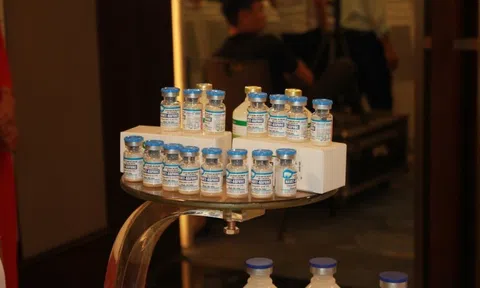 Việt Nam sản xuất thành công vắc xin dịch tả lợn châu Phi