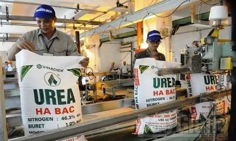 Bộ Tài chính: Sẽ trình phương án thuế xuất khẩu với phân bón phù hợp