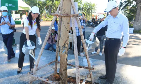 Bình Thuận trồng cây xanh bảo vệ môi trường