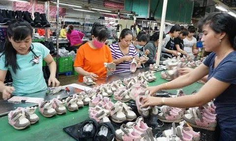 Ồ ạt rút BHXH một lần: Còn ai tha thiết với lương hưu?