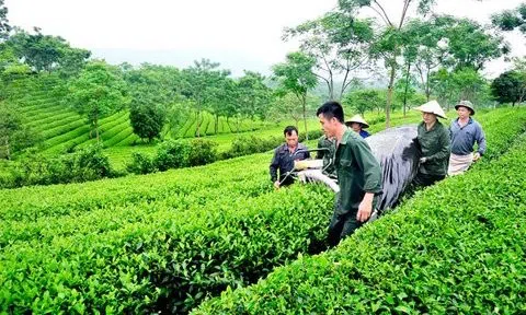 10 năm, giảm 9 triệu tấn CO2, Việt Nam làm được không?