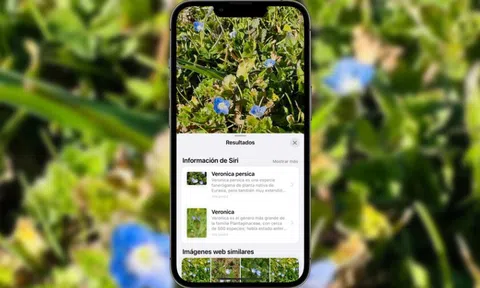 Cách dùng camera trên iPhone để nhận biết loại cây