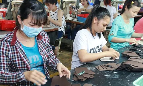 Ồ ạt rút BHXH một lần: Cốt lõi là rút ngắn tuổi nghỉ hưu