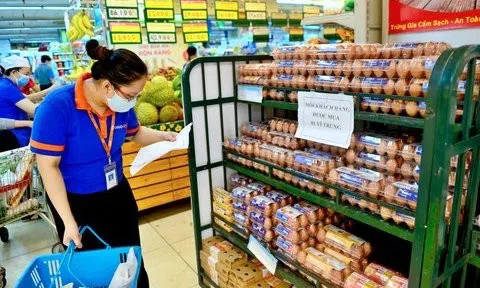 Tp.HCM: Chấp nhận điều chỉnh giá trứng gia cầm trong chương trình bình ổn