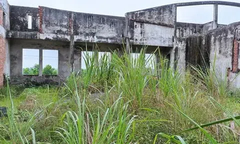 Nhà máy xi-măng 5.000 tỉ đồng bỏ hoang thành bãi chăn trâu, bò