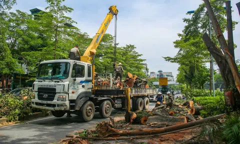 Cây đa trăm tuổi cổ nhất Thủ đô bất ngờ gãy cành, giao thông ùn tắc nghiêm trọng