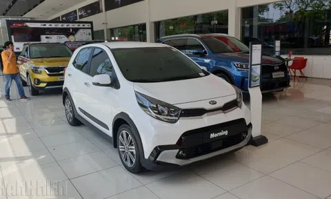 Vượt các hãng xe Hàn Quốc, Toyota dẫn đầu thị trường ô tô Việt Nam