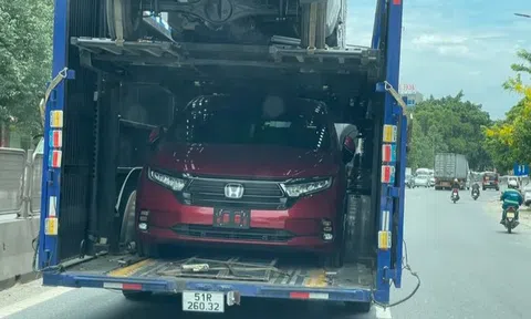 Honda Odyssey 2022 đầu tiên về Việt Nam, giá bằng 3 chiếc Kia Carnival