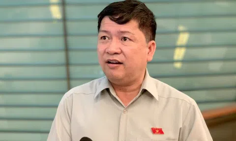 “Năng lực cán bộ quản lý thế nào mà lại sợ sai, không dám làm!”