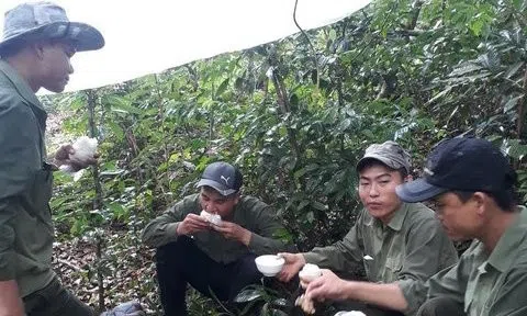 Nhiều cán bộ kiểm lâm ở Đắk Lắk xin nghỉ việc, từ chức, xuống chức