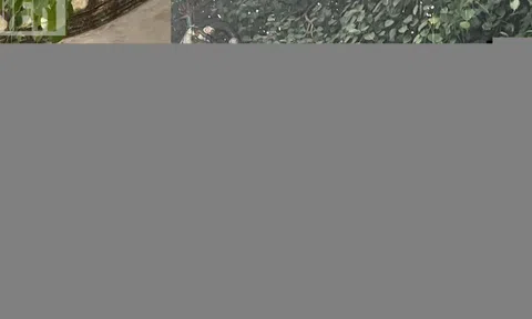 Ban Ái hữu Nghệ sĩ TP.HCM nhận khuyết điểm vụ thay đổi bảng tên chùa Nghệ sĩ