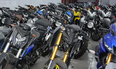 Các hãng xe Nhật Bản cắt giảm sản xuất hàng chục mẫu xe