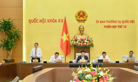 Chuyển đổi hơn 1.000 héc-ta đất rừng làm cao tốc Bắc - Nam