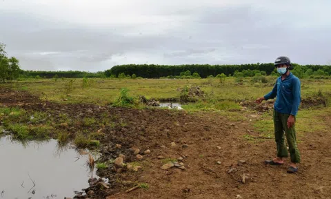 Quảng Ngãi xem xét thu hồi nhiều dự án chậm triển khai