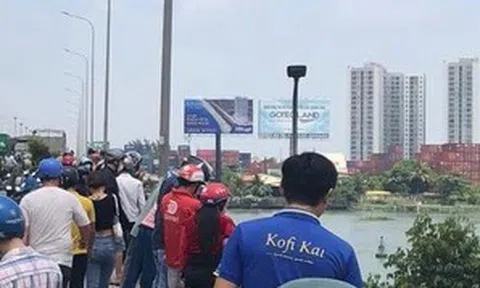 Người đàn ông hét lớn khi thấy 1 người lao thẳng từ cầu Đồng Nai xuống sông