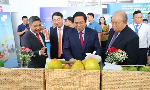 Thủ tướng dự và chỉ đạo hội nghị xúc tiến đầu tư tỉnh Hậu Giang 2022