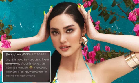 Nông Thúy Hằng khẳng định không quảng bá ‘trang web nhạy cảm’