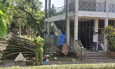 Đang nghỉ trong công viên, người đàn ông bất ngờ bị cây đổ đè chết