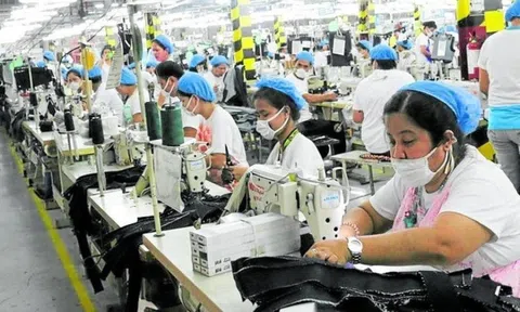 Yêu cầu khẩn trương giải ngân tiền thuê nhà cho người lao động