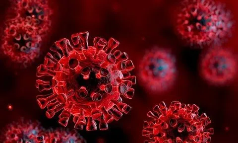 Mỹ: Vắc-xin kháng Omicron, Omnivax thử nghiệm thành công