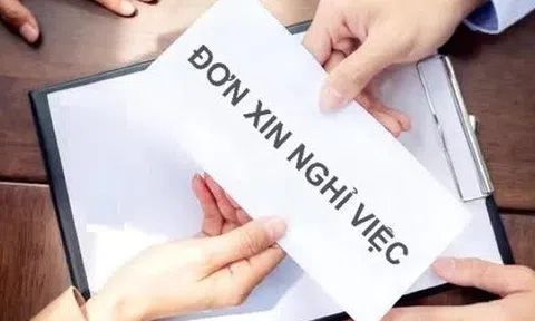 Hai phó giám đốc 2 sở ở Đồng Nai làm đơn xin nghỉ việc
