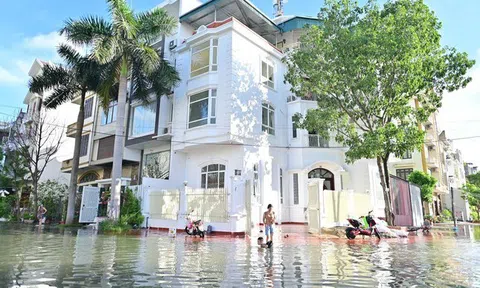 Hàng trăm biệt thự triệu đô ngập trong nước ở Quảng Ninh