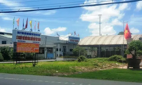 Sở Tư pháp Cà Mau đề nghị thu hồi khu đất hơn 25.000 m2 đấu giá sai quy định