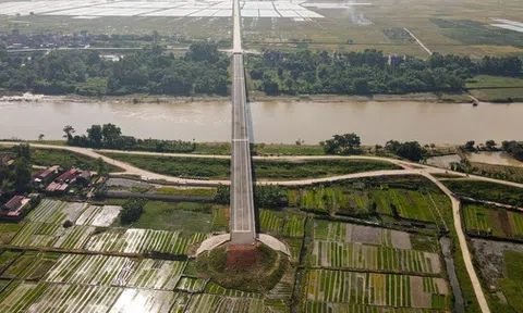 Ảnh: Người dân phơi thóc, chăn thả gia súc trên cây cầu được đầu tư cả trăm tỷ