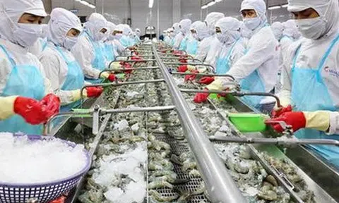 Nhiều đại gia thủy sản bị quấy nhiễu, đòi nợ, bị tung tin đồn “đã chết”