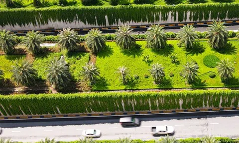 Cận cảnh bức tường xanh hiếm có giữa hầm chui ở Hà Nội giúp người dân "giải nhiệt" ngày nắng nóng