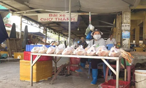 Khánh Hòa phấn đấu quý 2/2025 hoàn thành các khu giết mổ tập trung