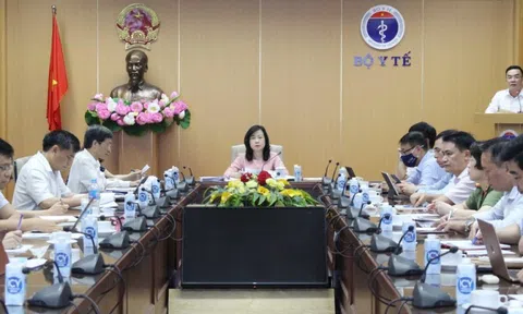 Quyền Bộ trưởng Đào Hồng Lan: Nguy cơ dịch chồng dịch là hiện hữu