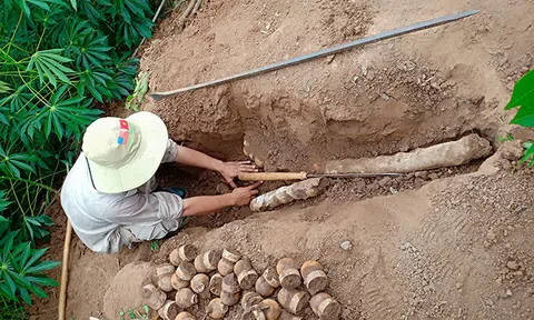 Nổ bom bi, 2 bé trai nguy kịch