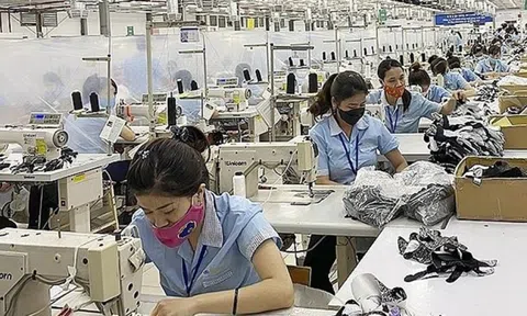 29 tỉnh vẫn chưa chi tiền hỗ trợ thuê nhà cho người lao động