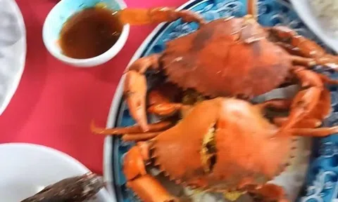 Giám đốc Sở lên tiếng vụ du khách tố ăn cua Cà Mau, cá lòi thòi bị 'chặt chém'