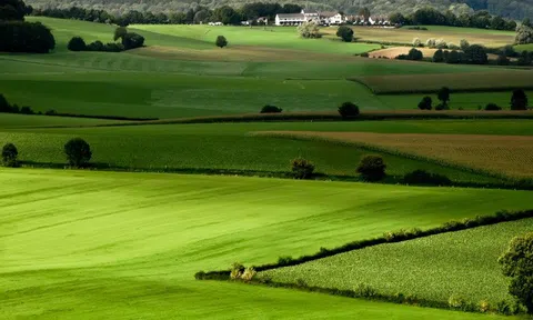 Cho phép người không sản xuất nông nghiệp được nhận chuyển nhượng đất trồng lúa?