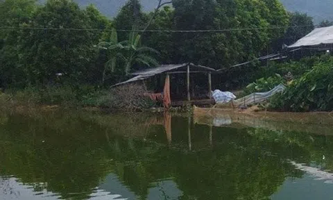 Bố mẹ làm ăn xa, 2 anh em ruột chết đuối thương tâm khi ra ao tắm