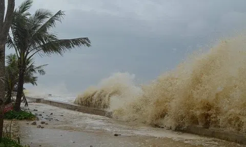 Vùng áp thấp sắp mạnh lên thành áp thấp nhiệt đới, mùa bão năm nay phức tạp khó lường
