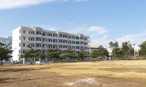 Đề xuất giảm diện tích dự án Làng Đại học Đà Nẵng "treo" 25 năm nếu thiếu vốn