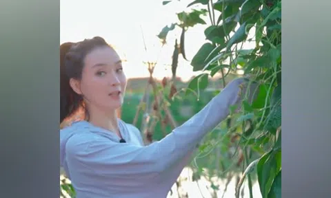 Sao 'Hoàn Châu cách cách' bị chê khi làm video thôn quê