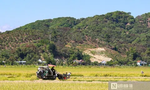 Xây dựng trung tâm dữ liệu tập trung của ngành nông nghiệp