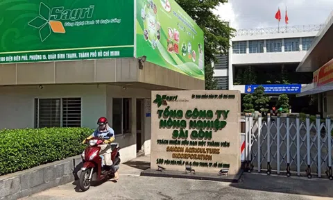 Bộ Tài chính trả lời kiến nghị cử tri TP HCM về sắp xếp nhà, đất