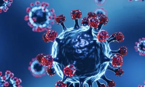 Biến thể BA.2.75 của Omicron xuất hiện tại Việt Nam