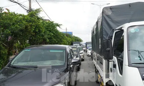 Đề xuất lập dự án thu phí xe ô tô vào trung tâm TPHCM