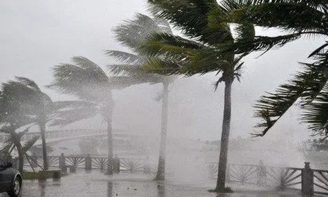 Biển Đông có thể đón thêm 8-10 cơn bão trong mùa mưa bão năm nay