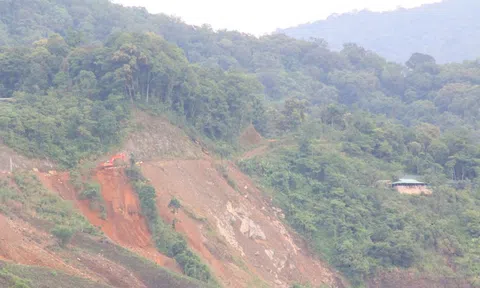 Quảng Nam thu hồi 24 ha rừng đặc dụng làm đường, Bộ NN-PTNT "tuýt còi"